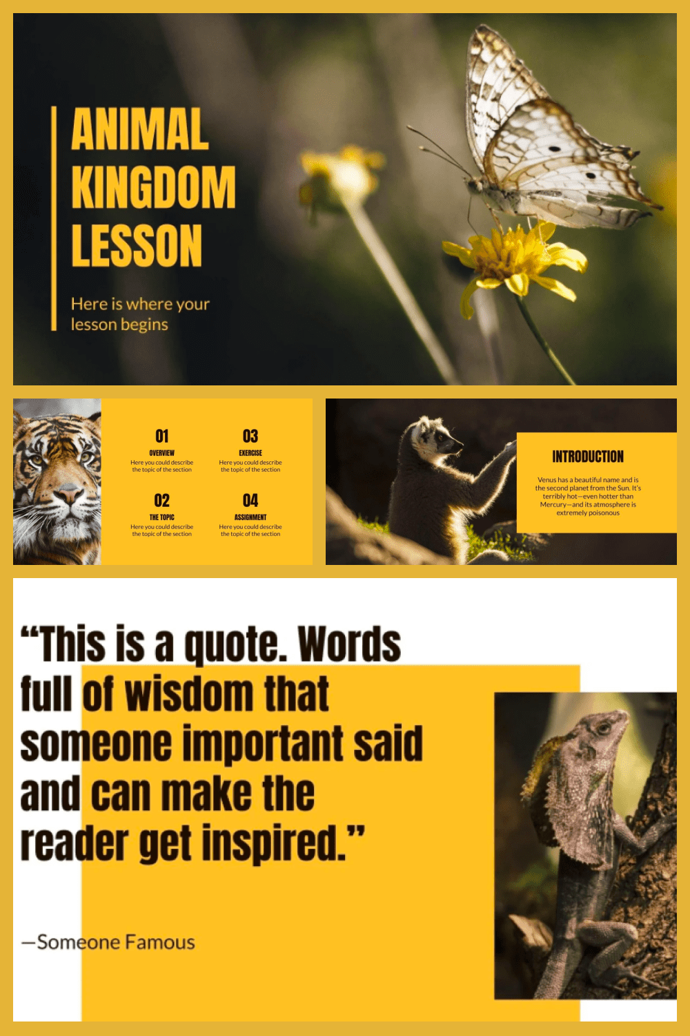 Yellow animal kingdom lesson.