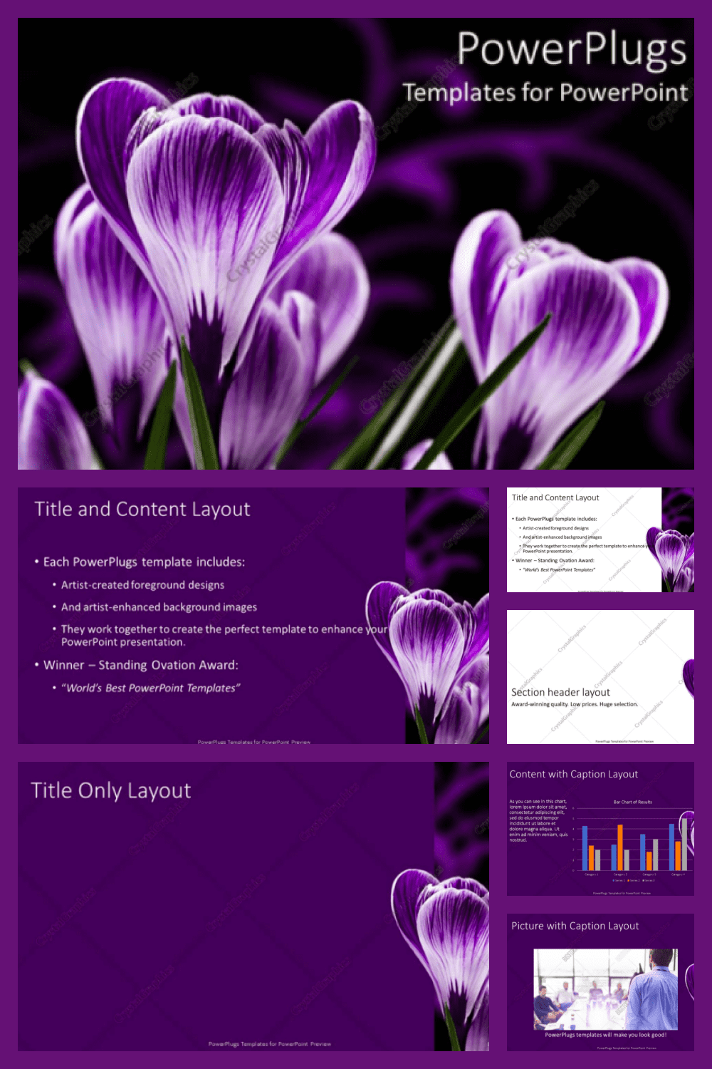 Purple flowers powerpoint template.