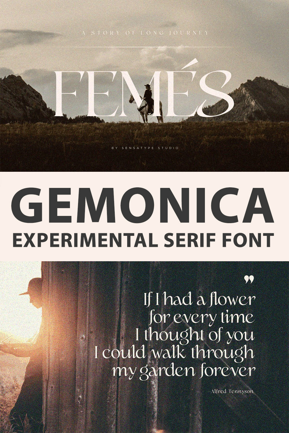 gemonica - experimental serif font - Pinterest.