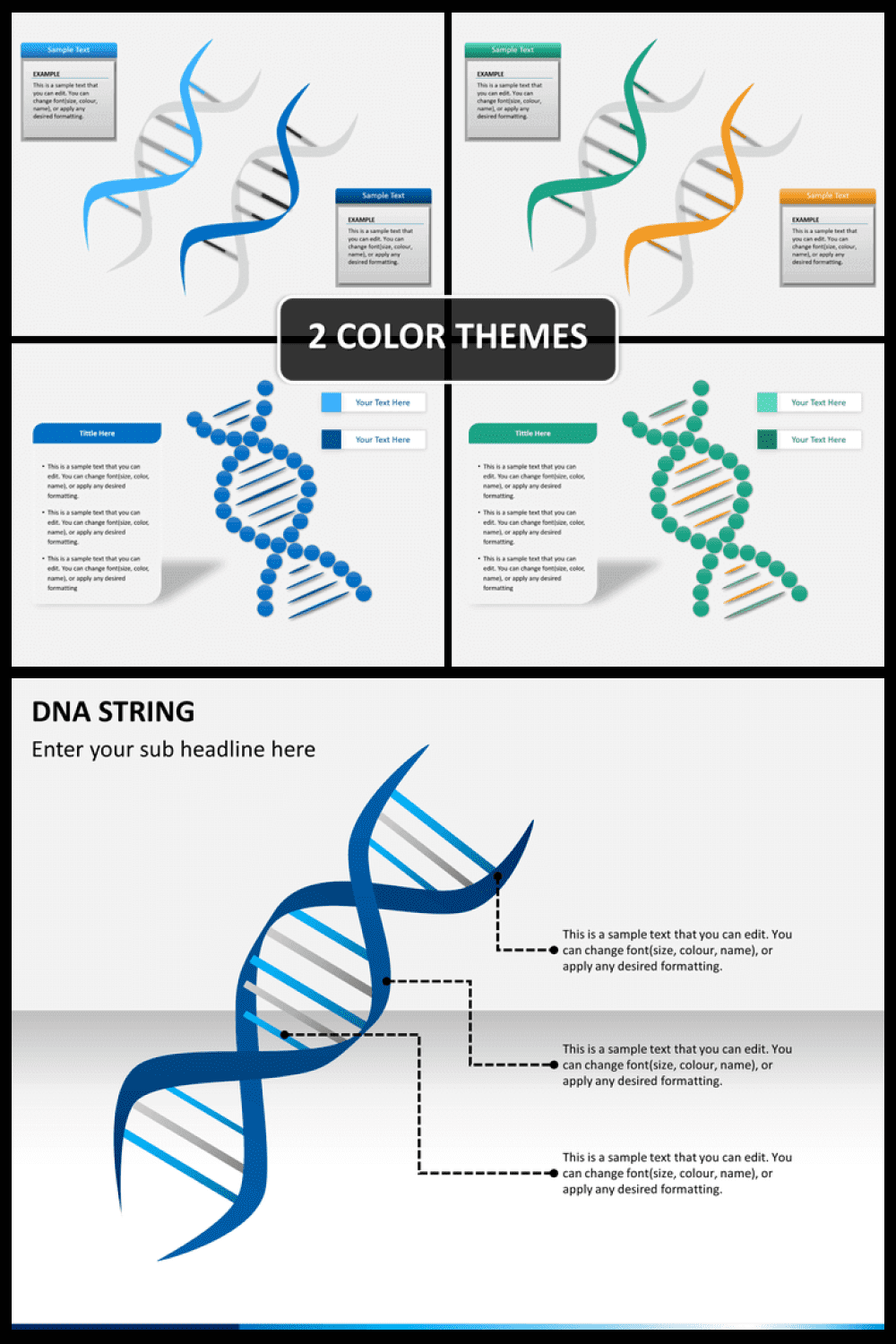 DNA string powerpoint template.