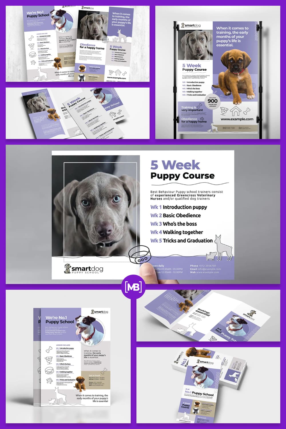 Puppy school flyer and brochure templates bundle.