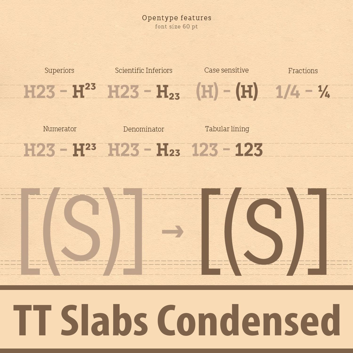 TT Slabs Condensed cover image.