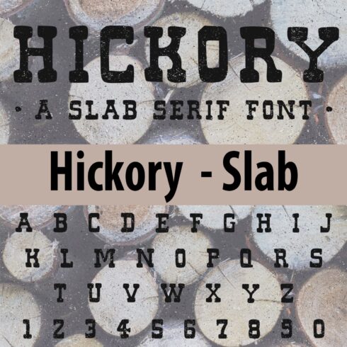 Hickory - Slab main cover.