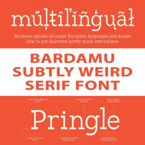 Bardamu — Subtly Weird Serif Font main cover.