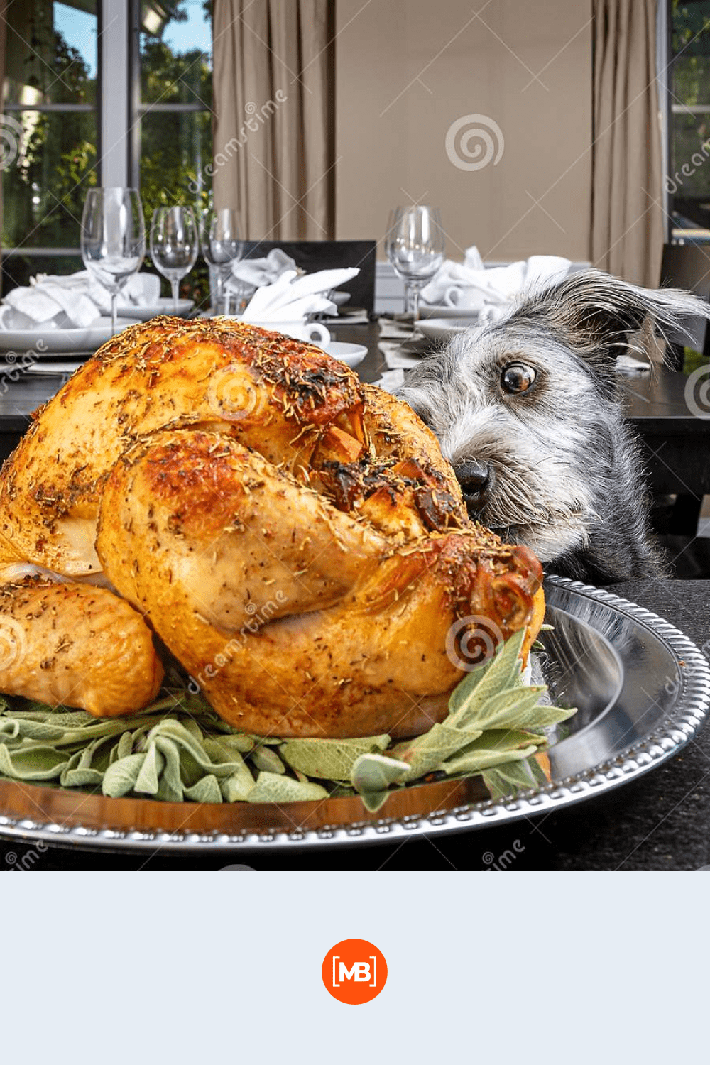 Dog stealing Thanksgiving turkey.