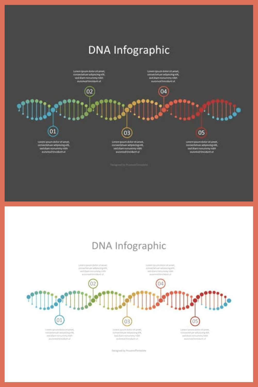 DNA timeline infographic powerpoint template.