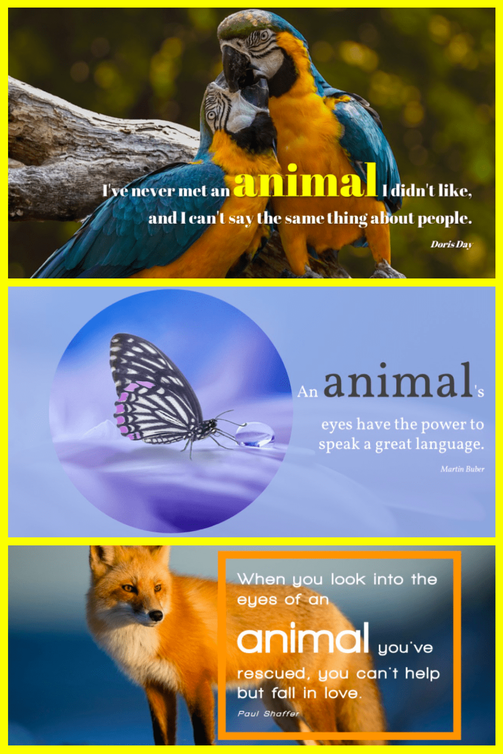 Natural template with animals in a high-quality.