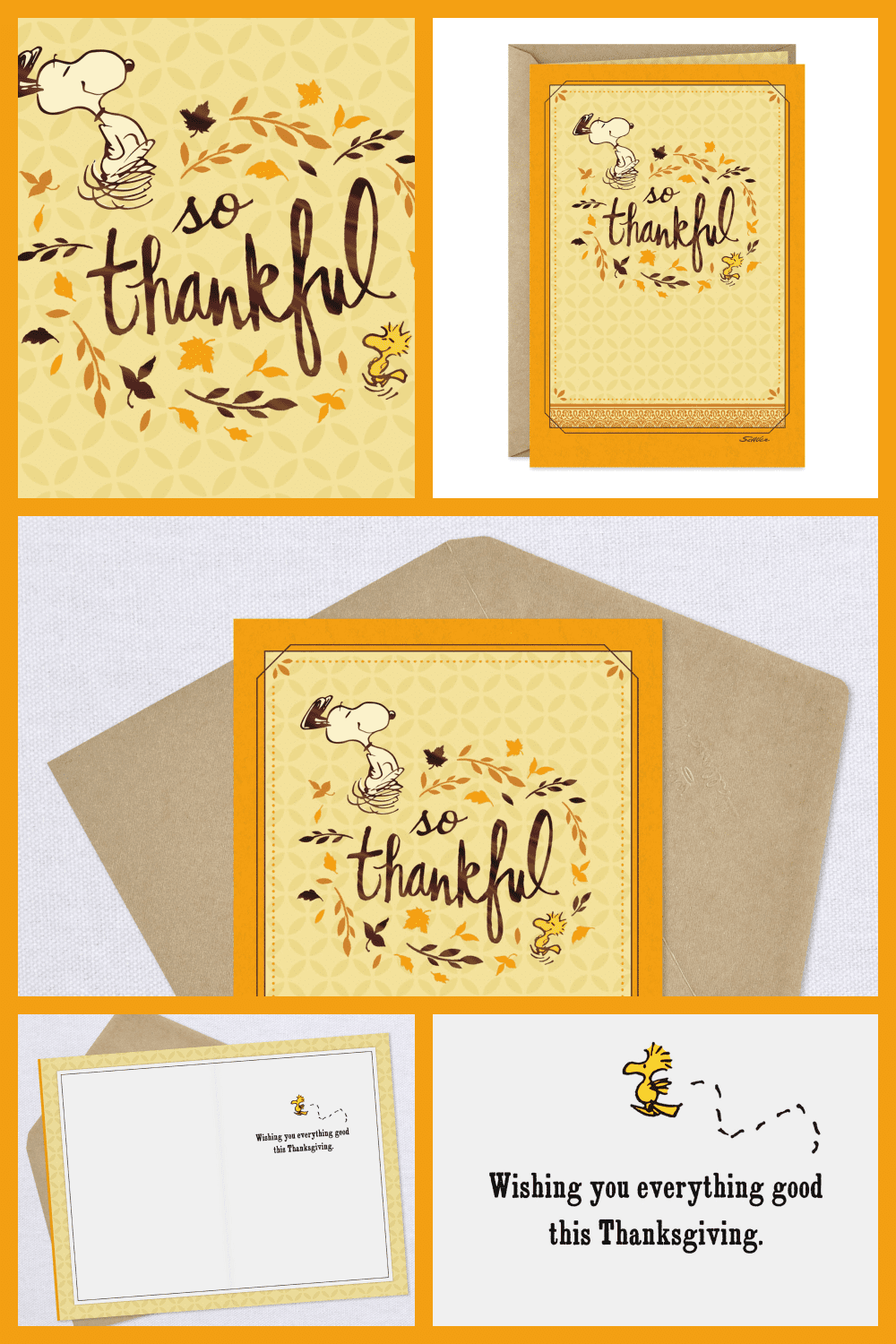 Peanuts snoopy and woodstock so thankful Thanksgiving card.