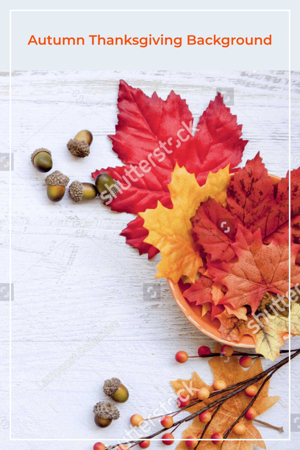 Cool autumn Thanksgiving background.