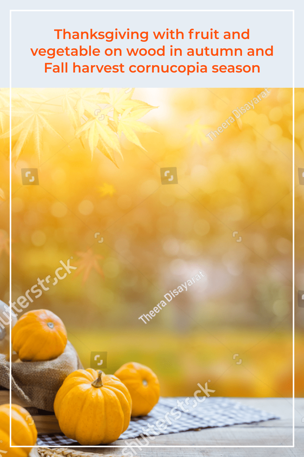 Thanksgiving with fruit and vegetable on wood in autumn and Fall harvest cornucopia season.