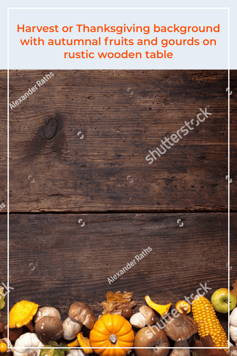 Harvest or Thanksgiving background with autumnal fruits and gourds on rustic wooden table.