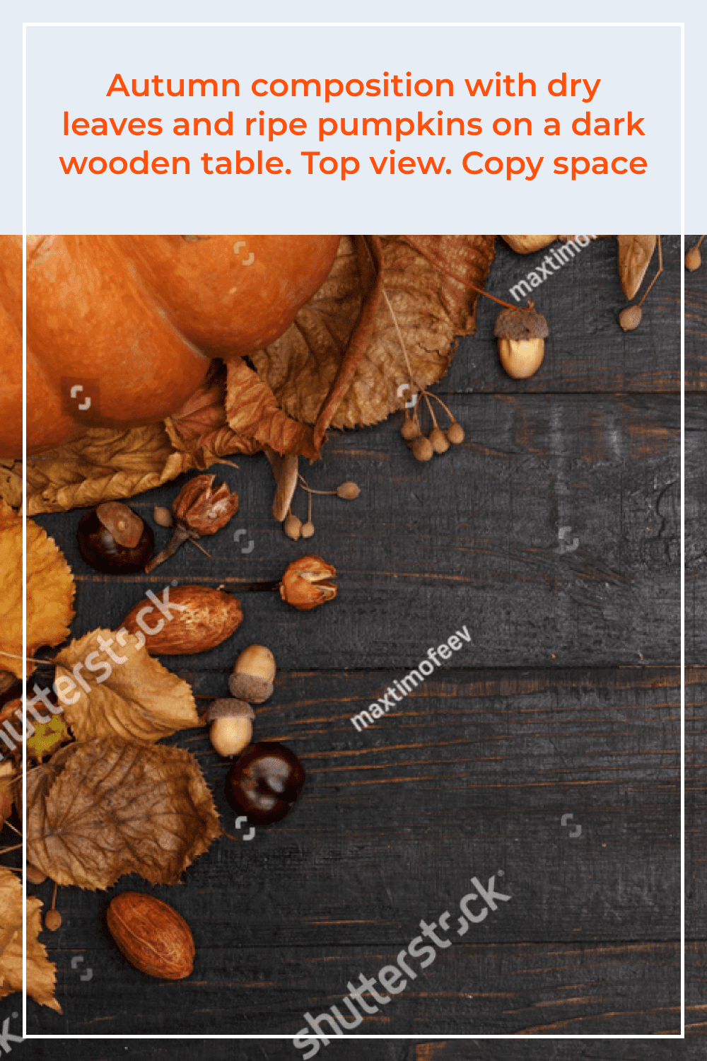 Autumn composition with dry leaves and ripe pumpkins on a dark wooden table.