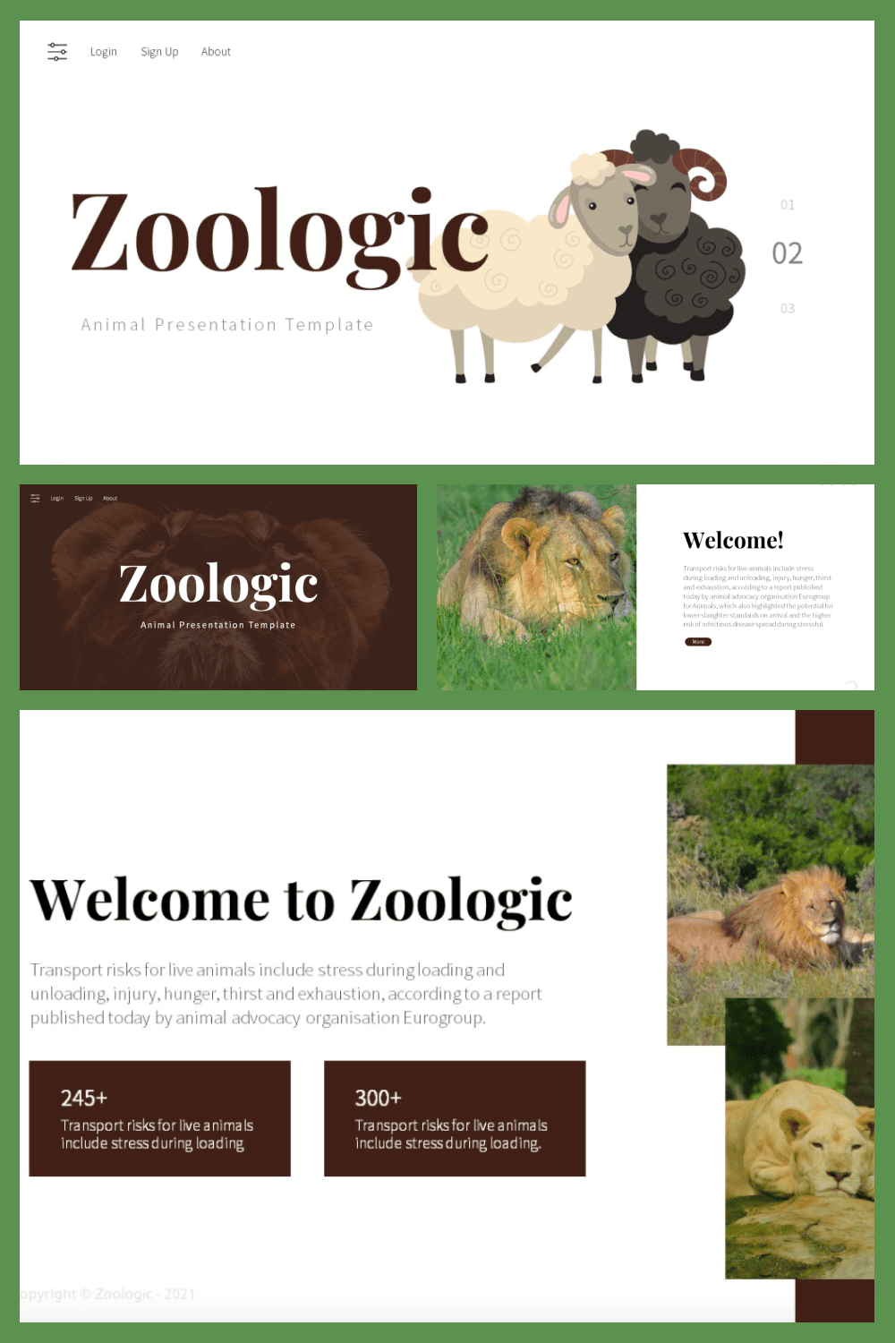 Zoologic animal presentation template.