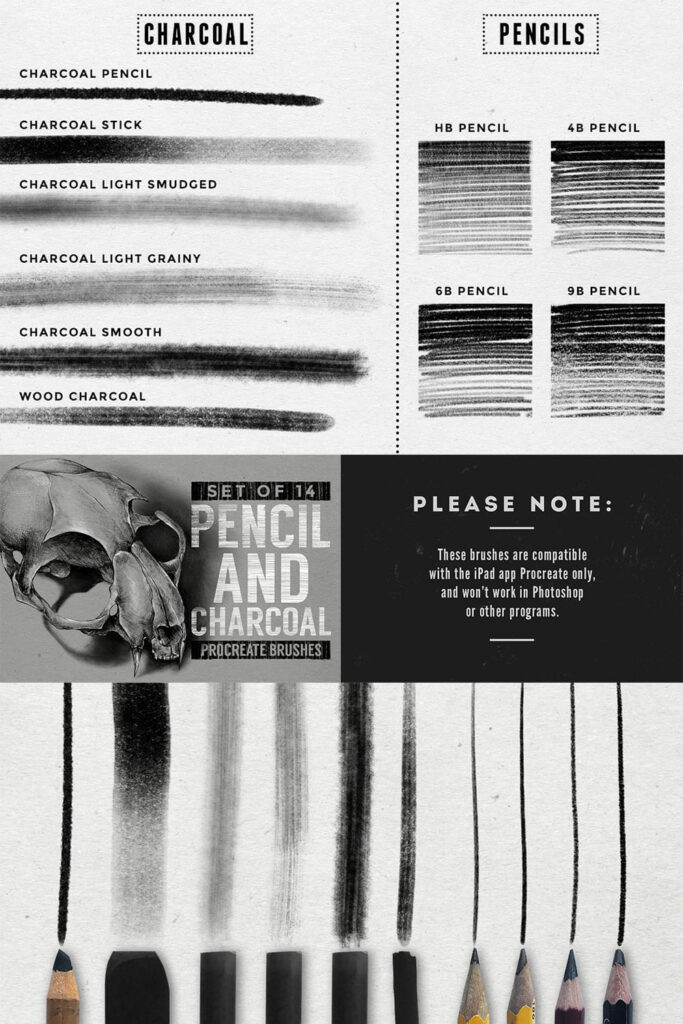 Pencil & Charcoal Procreate Brushes MasterBundles