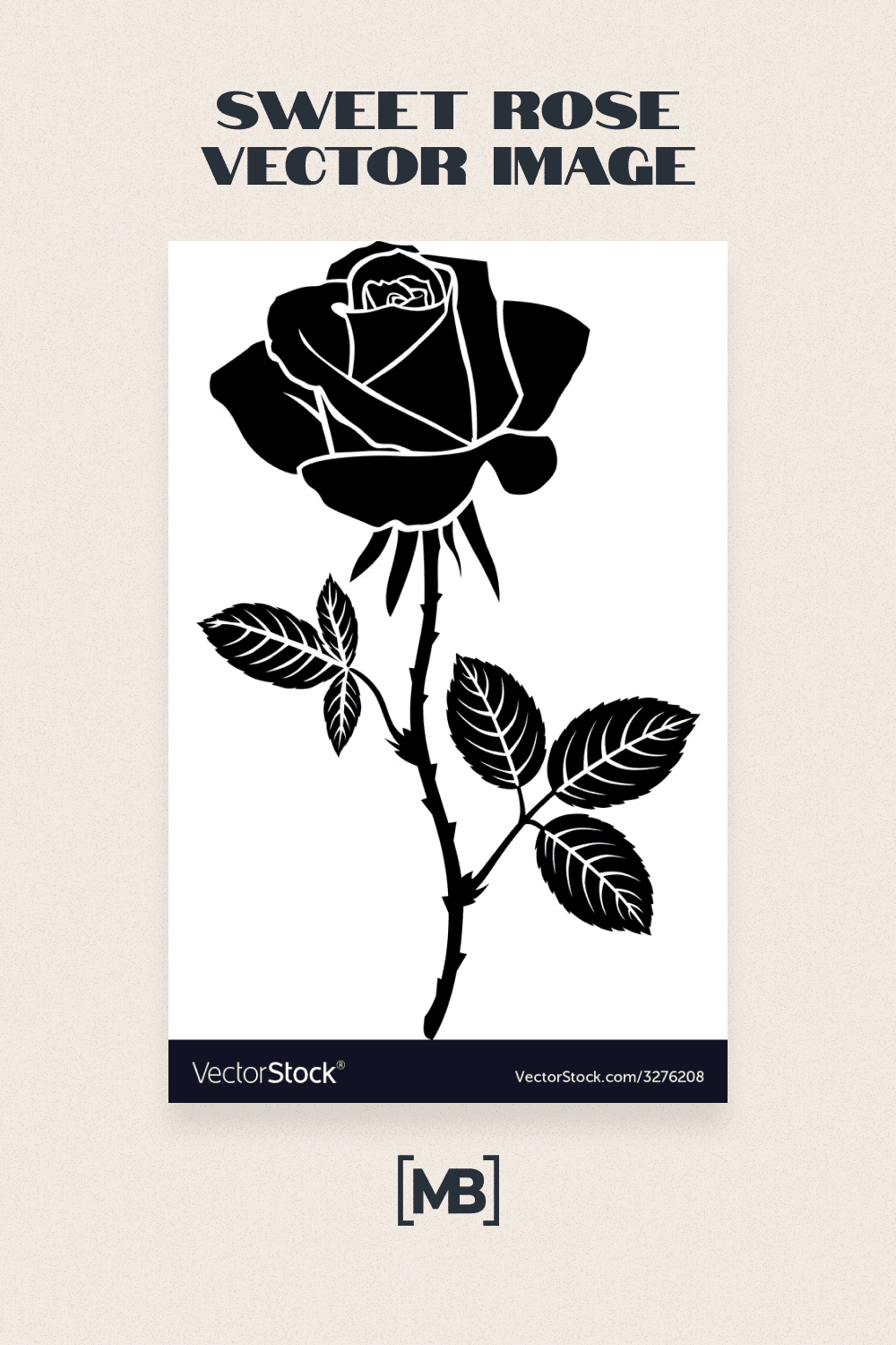 Sweet rose vector image.