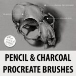 Pencil & charcoal Procreate brushes main cover.