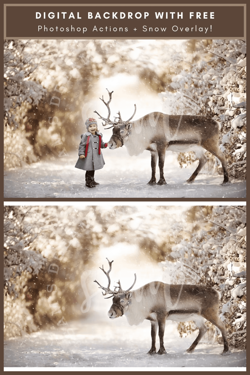 collage of two photos in the winter forest with a deer and a girl in a gray coat.