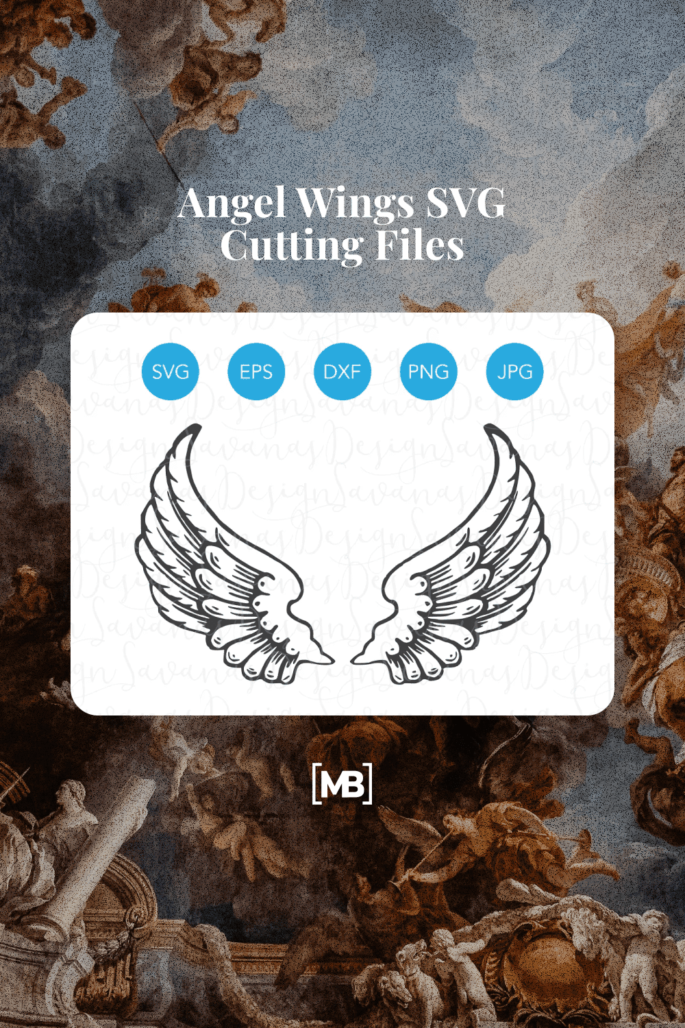 Image of angel wings with good drawing.