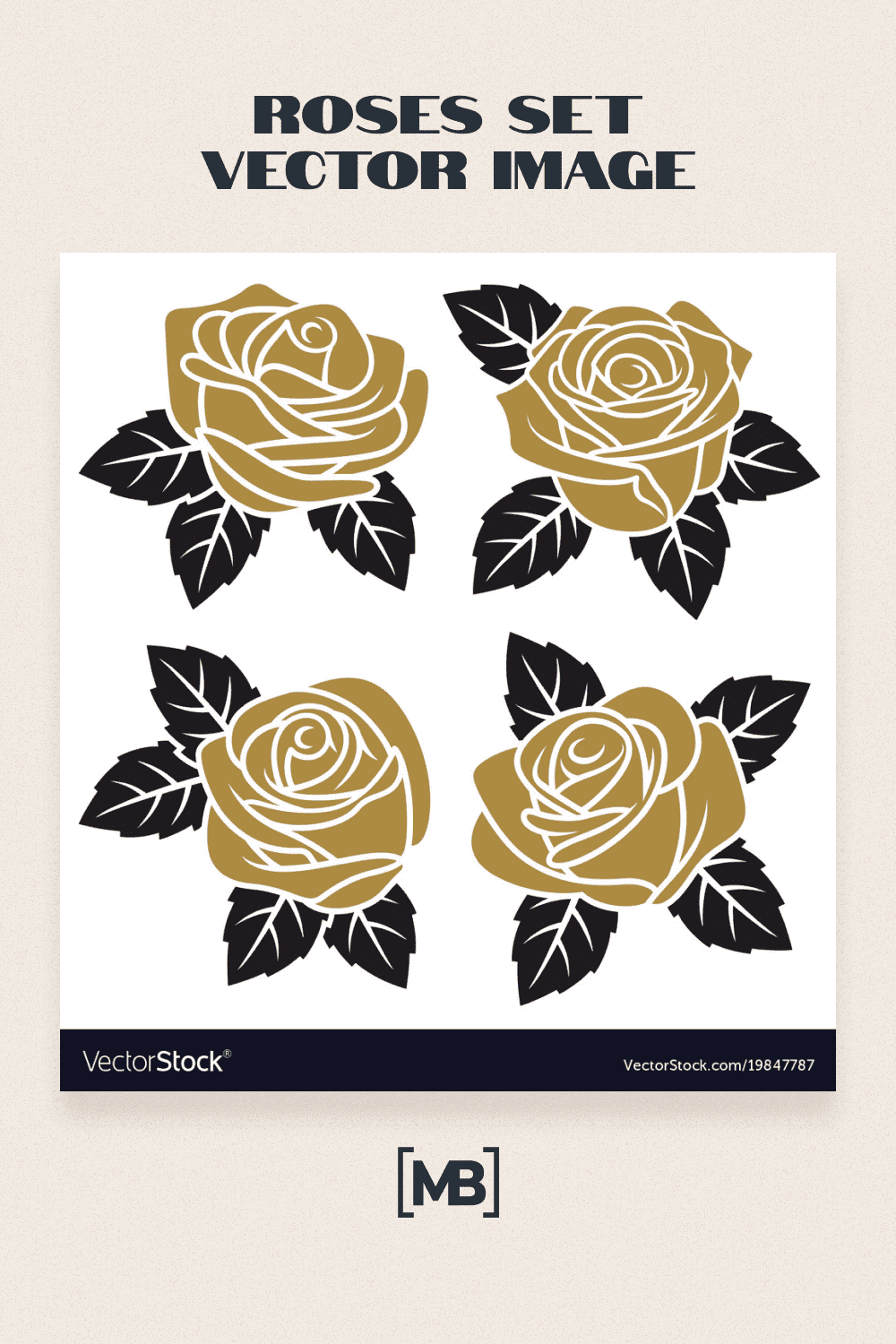 Roses set vector image.