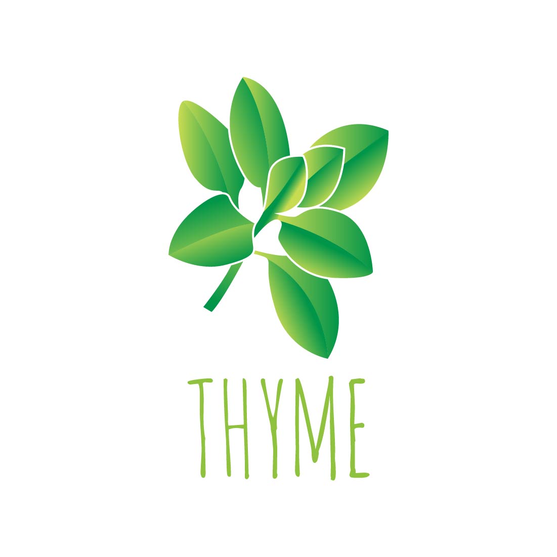Herb Plant Vector Illustration thyme.