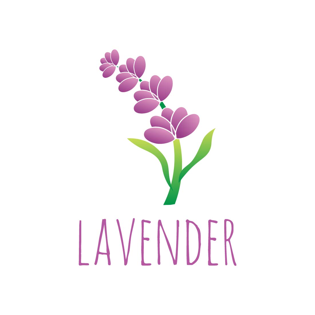 Herb Plant Vector Illustration lavender.