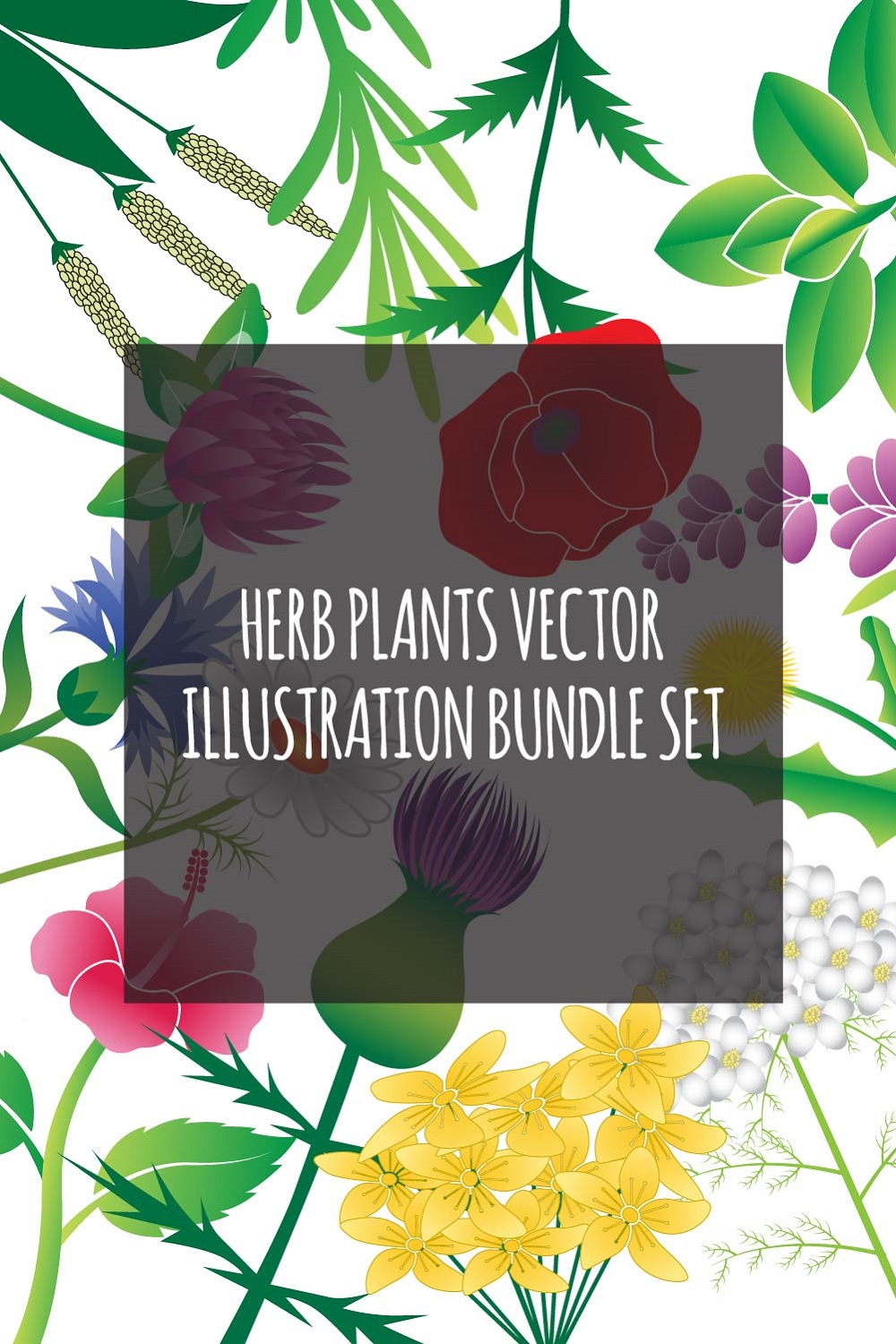 Herb Plant Vector Illustration Bundle