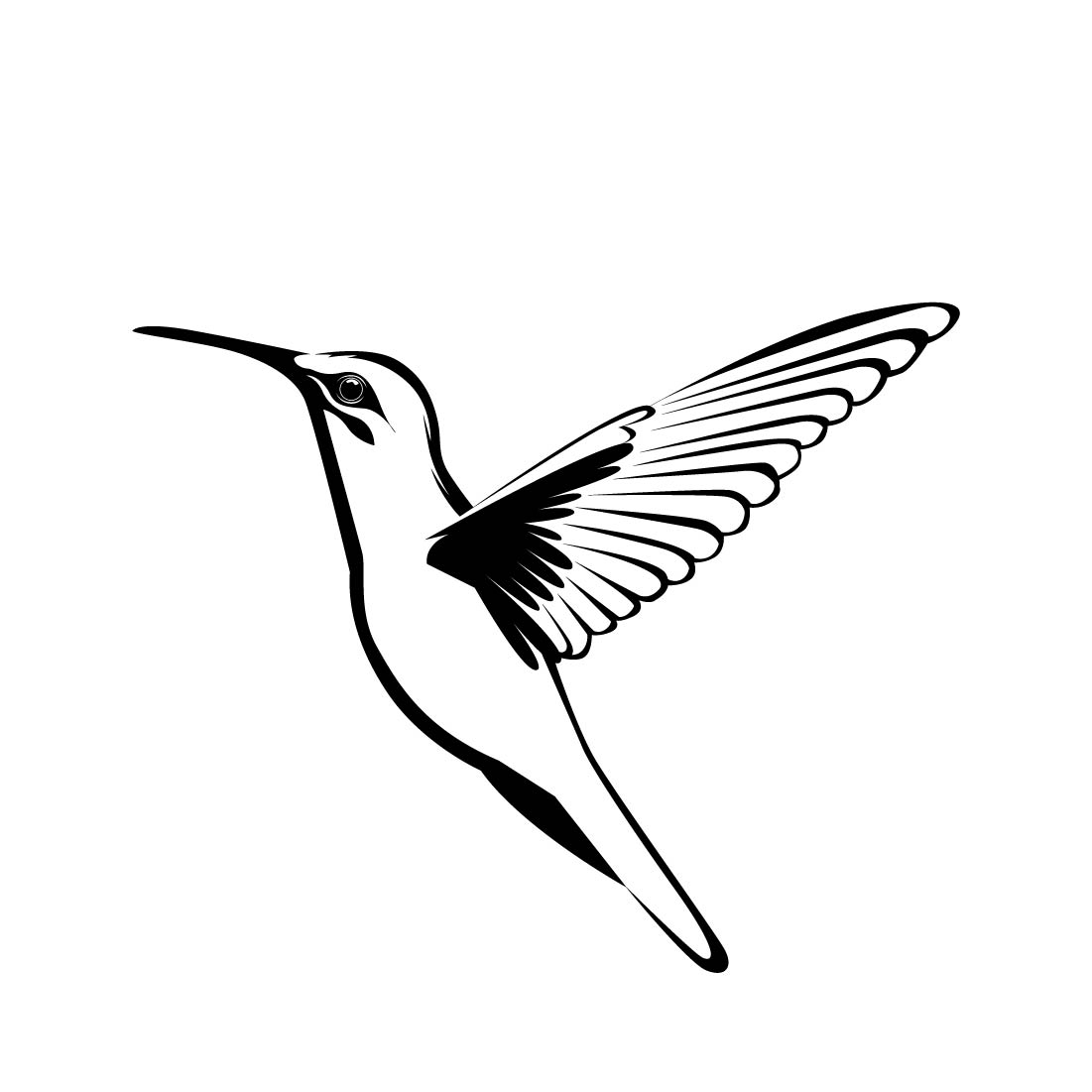 Beautiful Hummingbird Vector black & white.