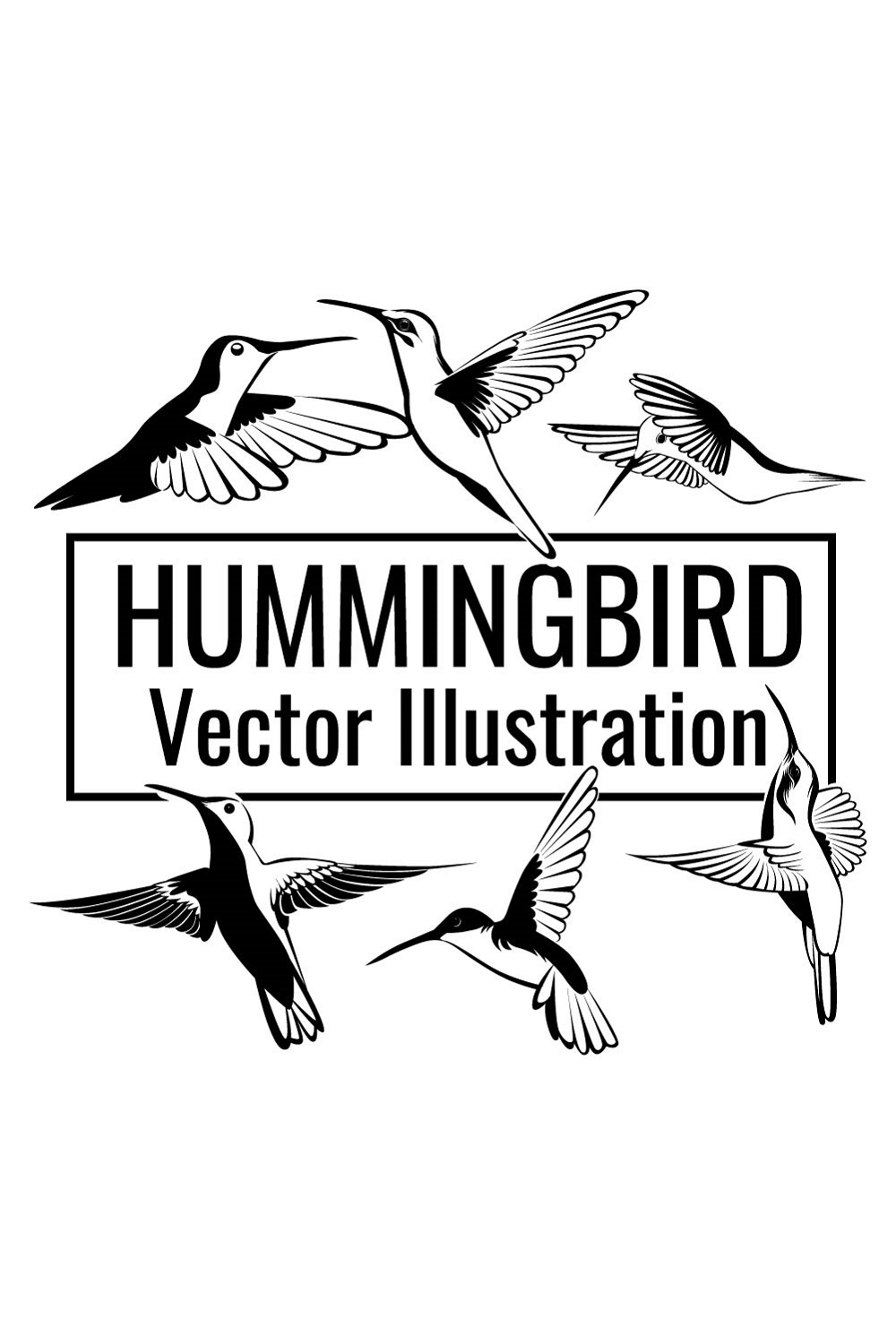 Beautiful Hummingbird Vector Bundle.
