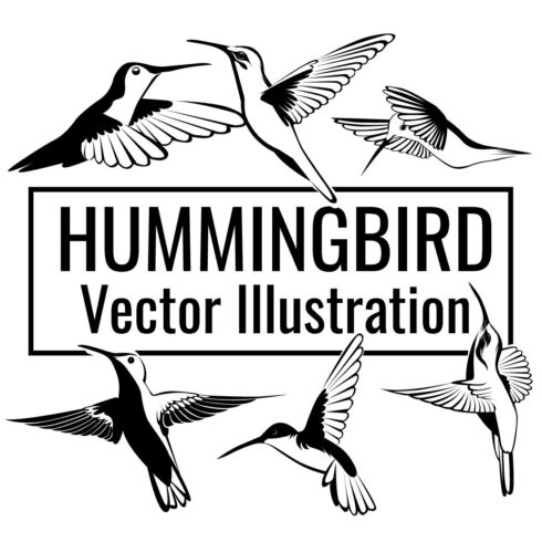 Black and white logo with birds flying around it.
