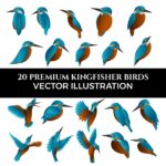 Premium Kingfisher Birds Vector Illustrations cover image.