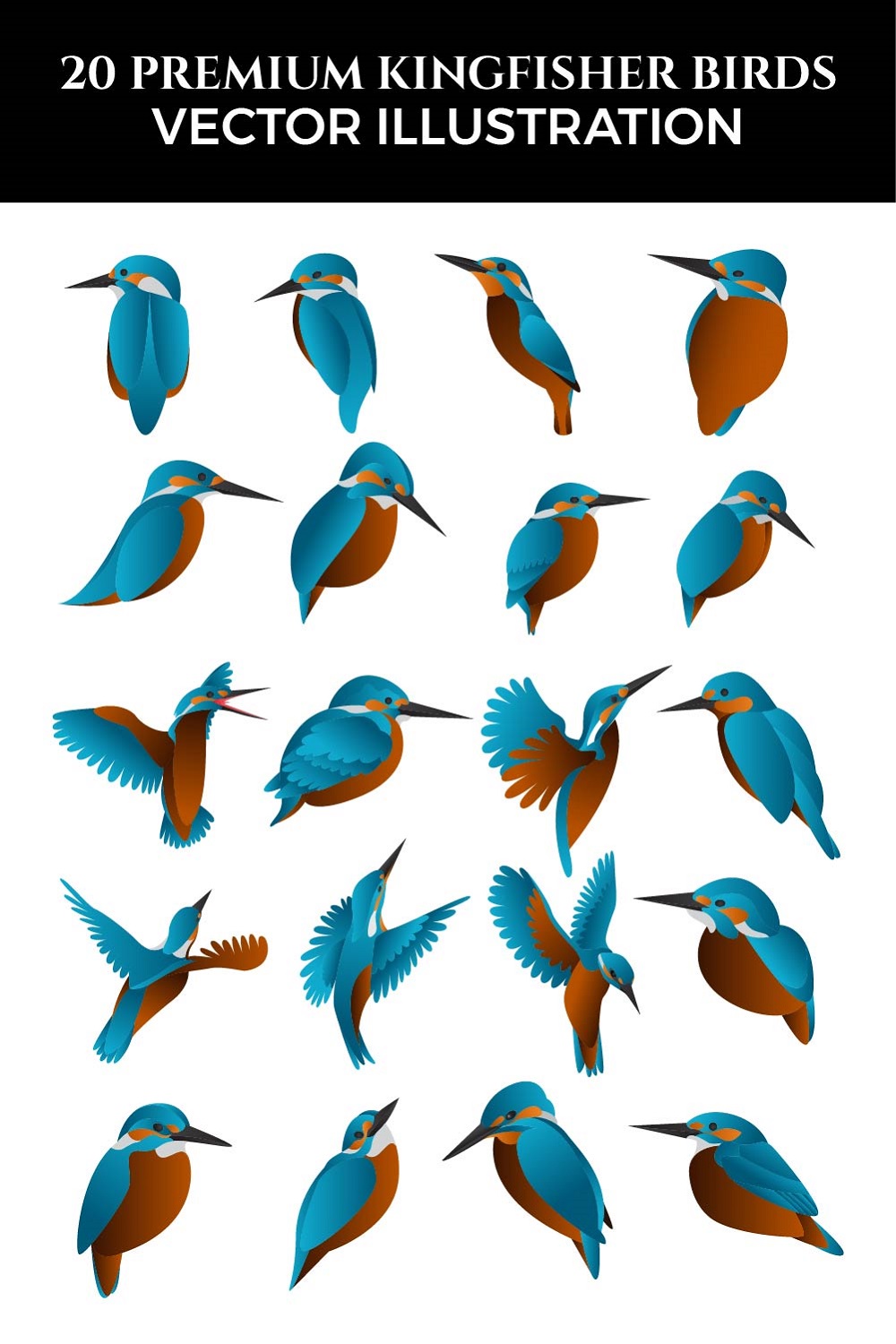 Premium Kingfisher Birds Vector illustration pinterest image.