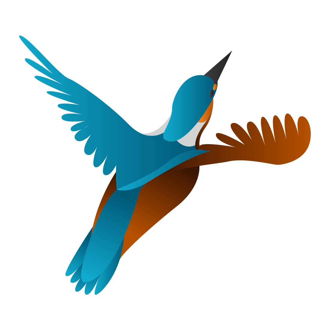 Premium Kingfisher Birds Vector.