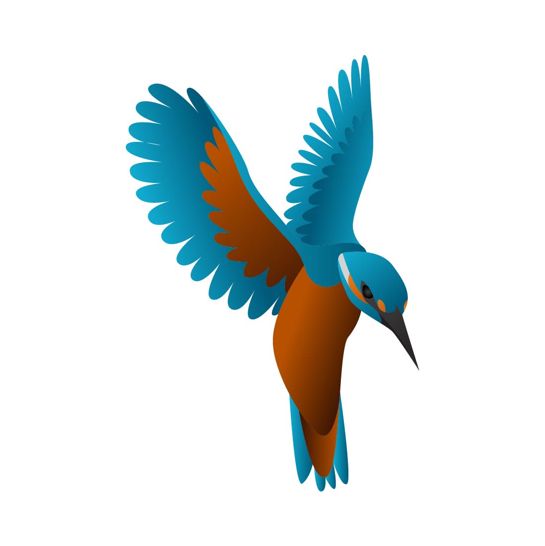 kingfisher 10