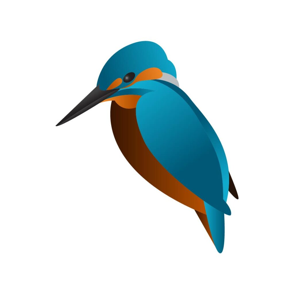 20 Premium Kingfisher birds vector illustration - only $10 - MasterBundles