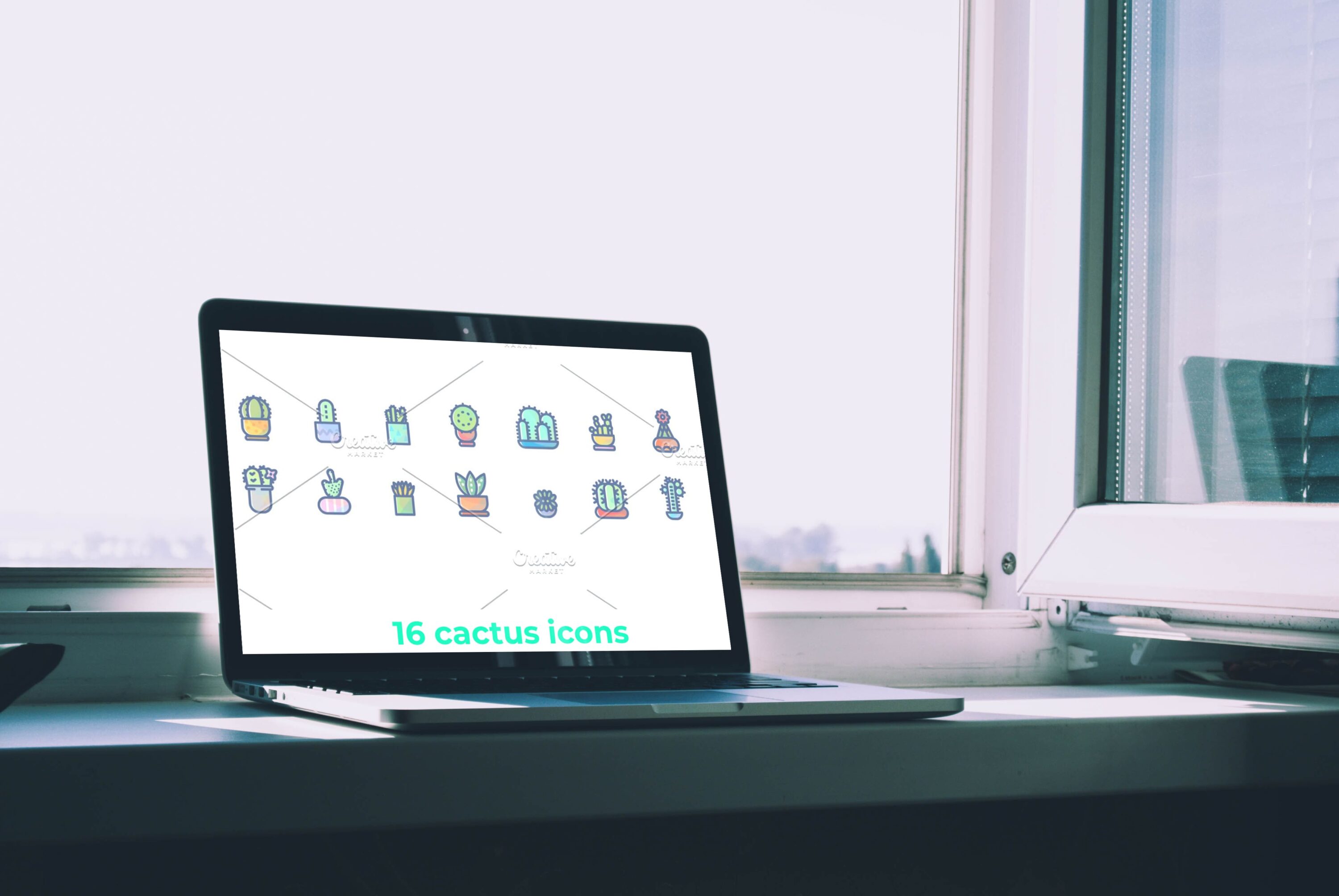 Laptop option of the 16 cactus icons.