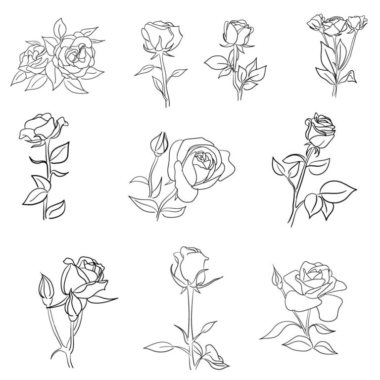 22 Hand drawn roses vector illustration - only $12 - MasterBundles