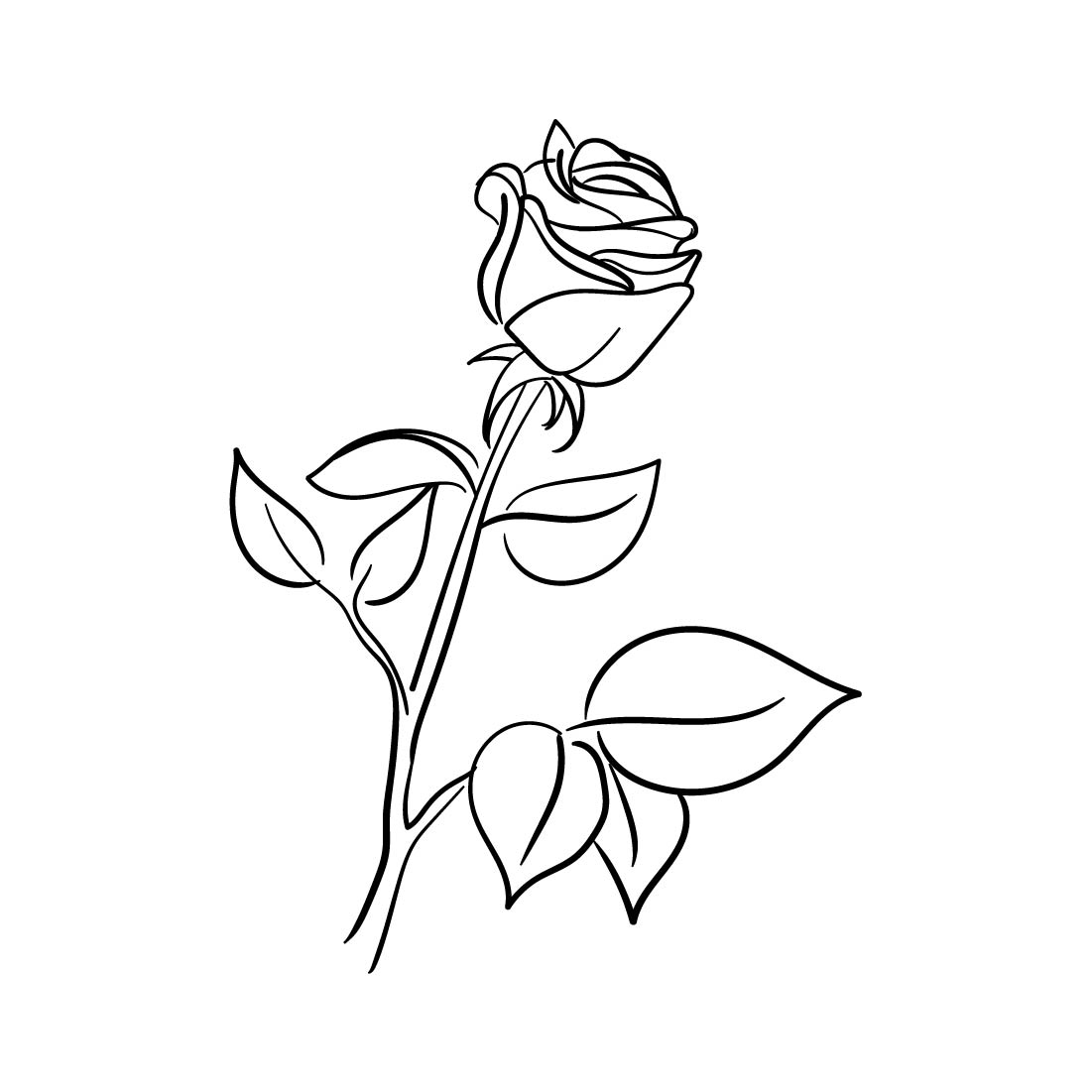 Hand Drawn Roses Vector Illustration preview.