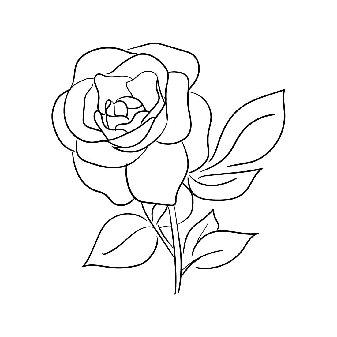 Hand Drawn Roses Vector Illustration cover image.