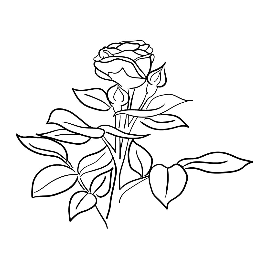 Hand Drawn Roses Vector Illustration.