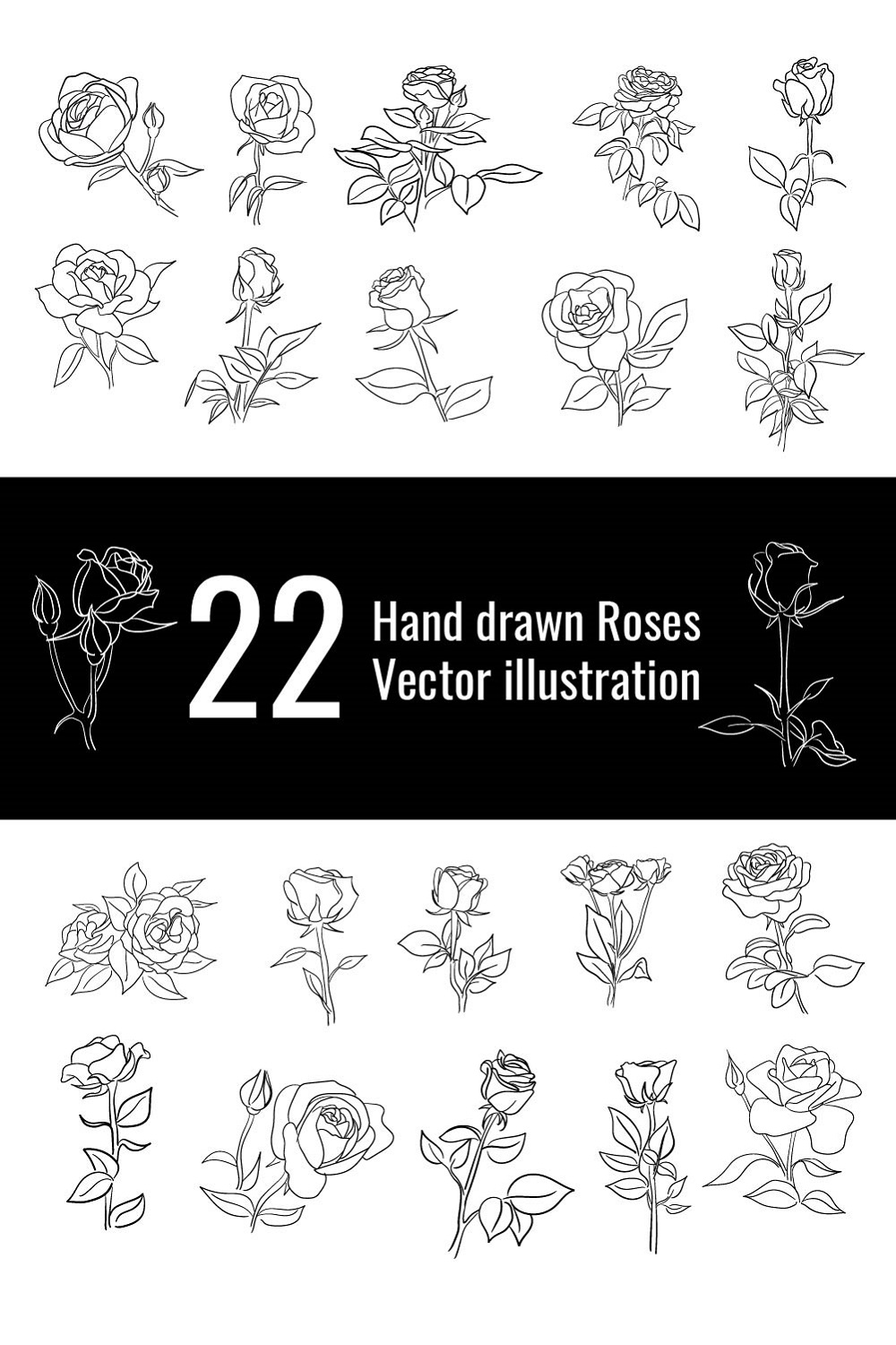 Hand Drawn Roses Vector Illustration pinterest.