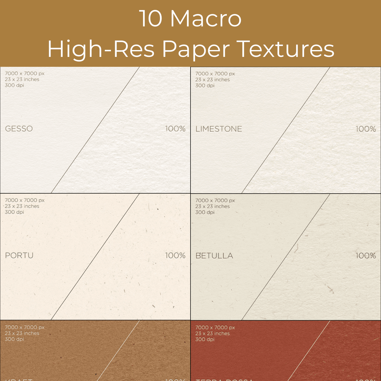 10 Macro High-Res Paper Textures cover.