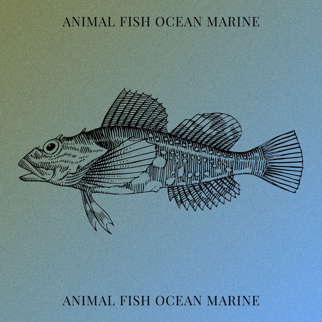 Animal Fish Ocean Marine - Colorful Example.