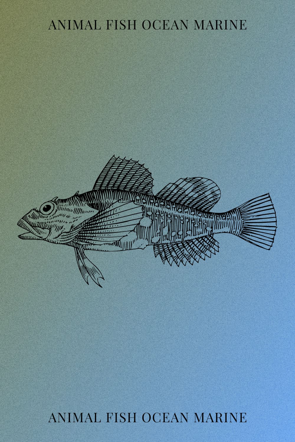 Animal Fish Ocean Marine - Pinterest Image.