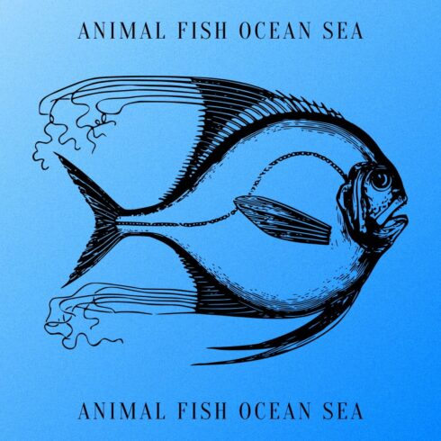 Animal Fish Ocean Sea - Blue Colorful Image.