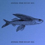 Animal Fish Ocean Sea - Blue Colorful Example.