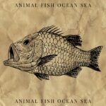 Animal Fish Ocean Sea - Example on vintage Paper.