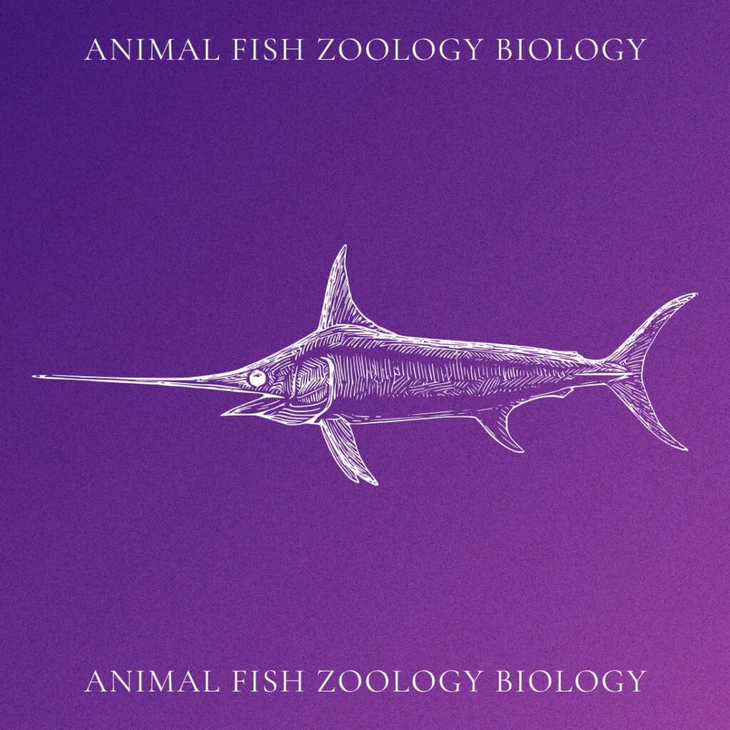 Free Animal Fish Zoology Biology SVG – MasterBundles