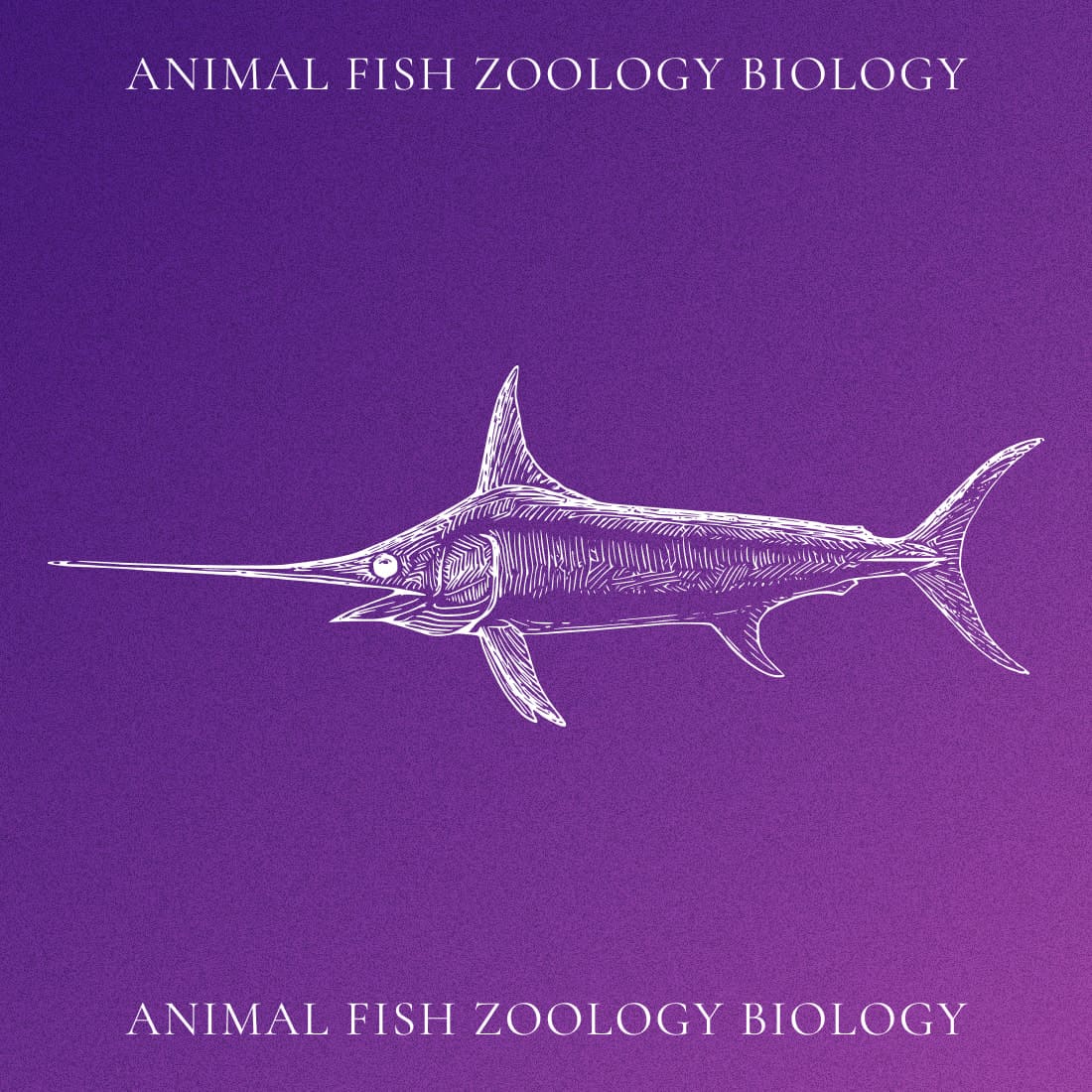 Animal Fish Zoology Biology - Purple Colorful Example.