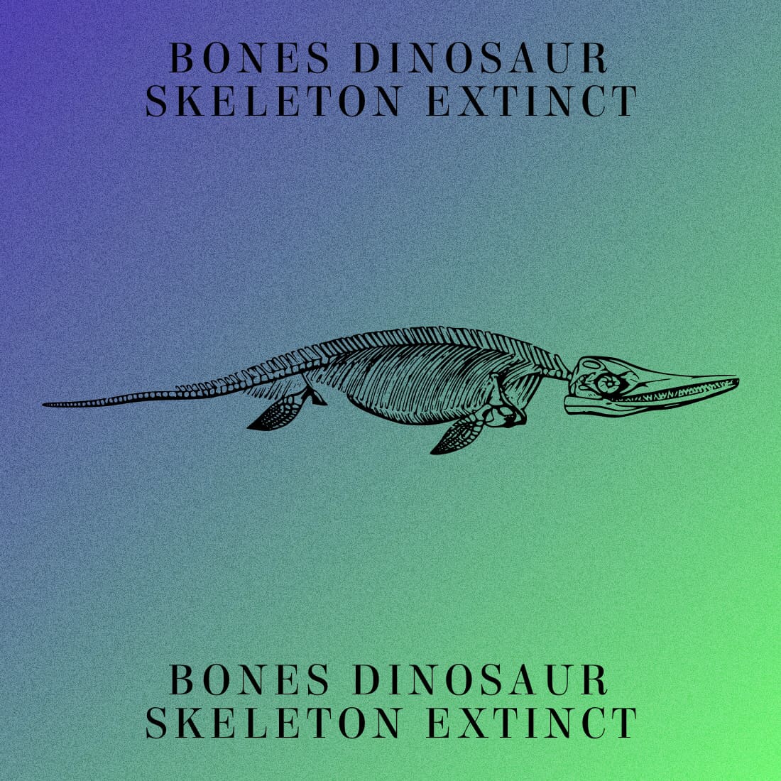 Bones Dinosaur Skeleton Extinct - Colorful Example.