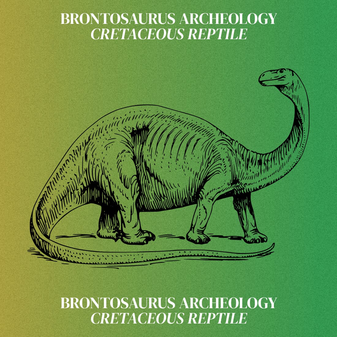 Brontosaurus Archeology Cretaceous Reptile - Colorful Example.